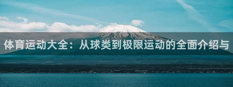 JJB竞技宝官网下载软件:体育运动大全:从球类到极限运动的全